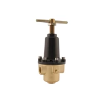 Латунный предохранительный клапан gallery image 1